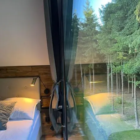 Lägenhet Lesne Historie Goluchow