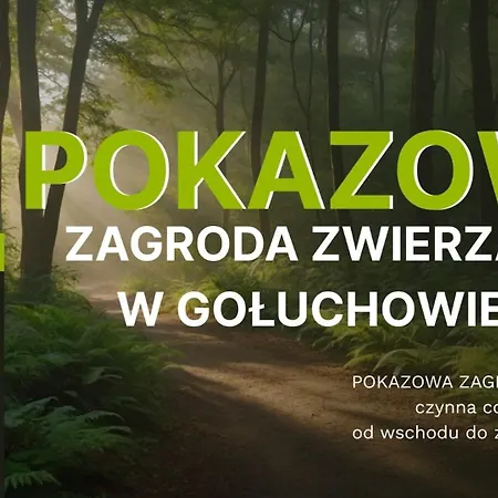 Апартаменты Lesne Historie