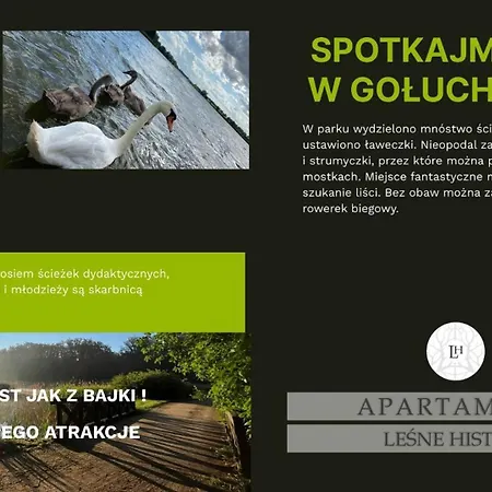 Апартаменты Lesne Historie Goluchow