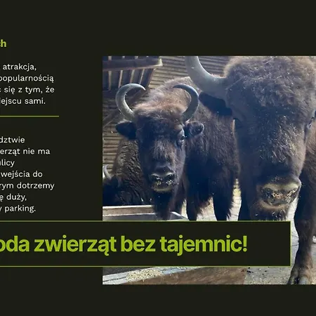 Lesne Historie Апартаменты