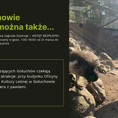 Lesne Historie Апартаменты *