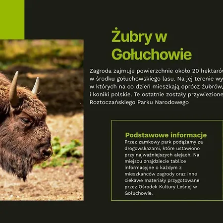 Апартаменты Lesne Historie *