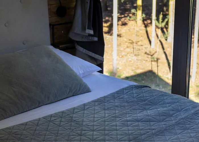 Lesne Historie Апартаменты Goluchow