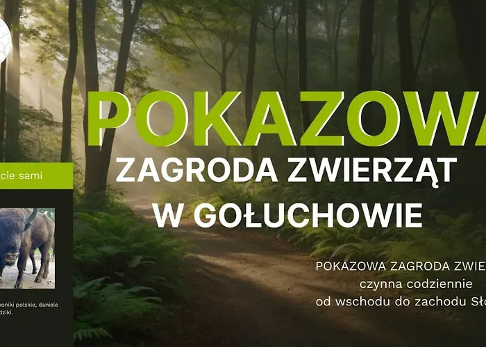 Апартаменты Lesne Historie