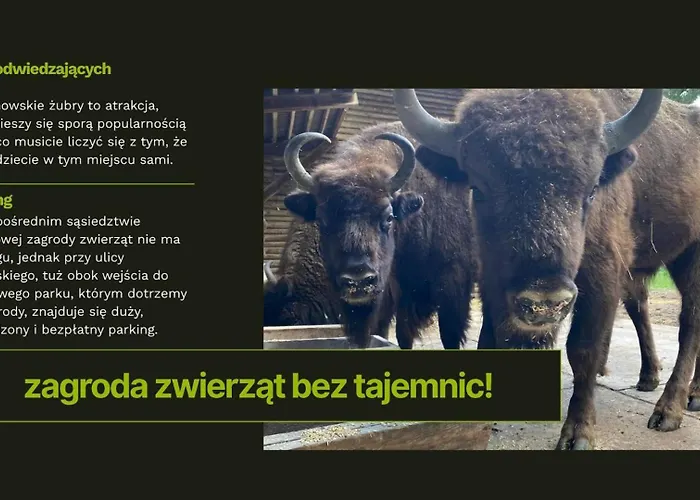 Lesne Historie Апартаменты