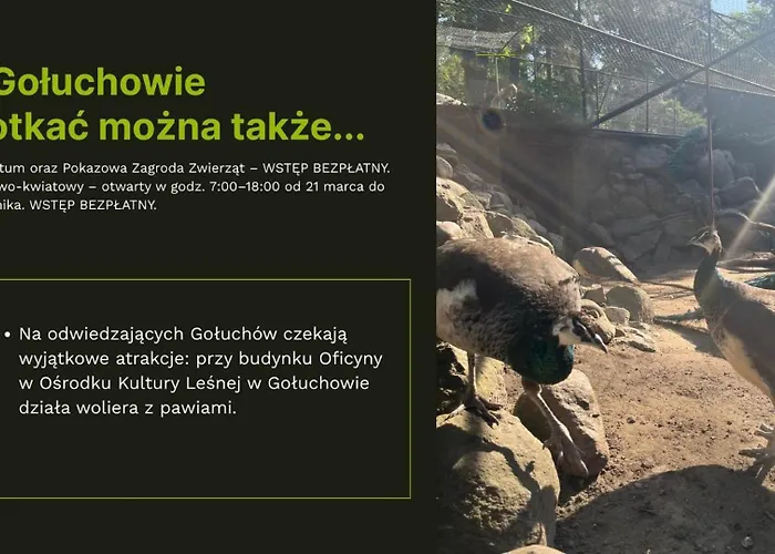 Lesne Historie Апартаменты *