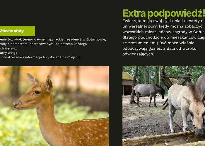 Lesne Historie Goluchow