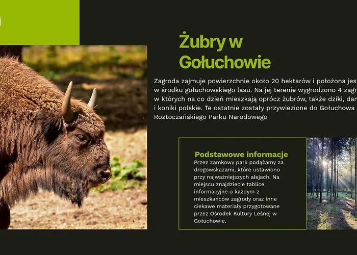 Апартаменты Lesne Historie *